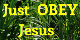 Just Obey Jesus