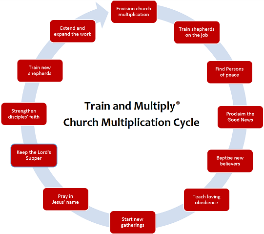 T&M Coaching Cycle