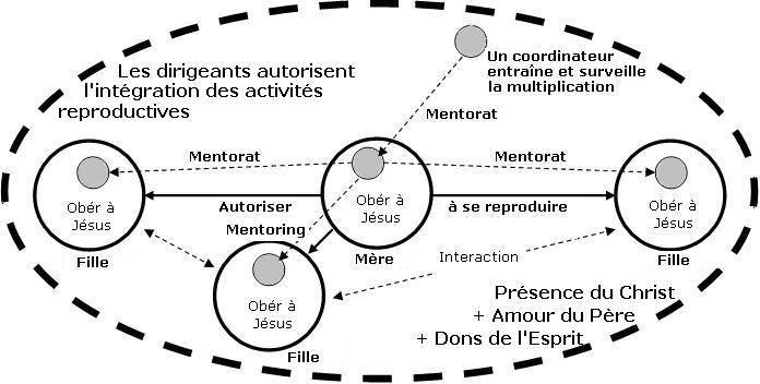 sept activités