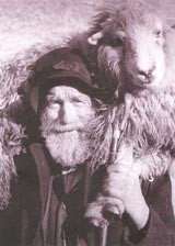 Shepherd Storybook chapters