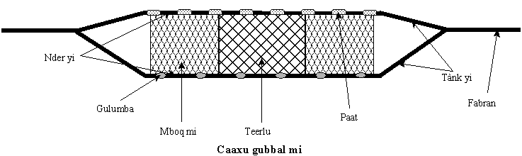 Wolof parts of net diagram